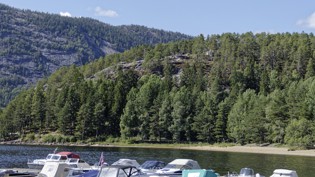 20260817 144459•Tree-Tops•Fyresdal•Telemark•Norway (Alt 335 m )